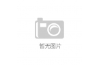 PPO Enco Free4 丹拿版深度
